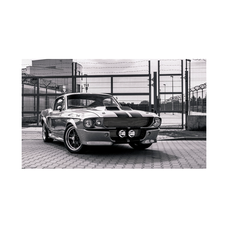 Eleanor GT500 lower halogen light 1pc
