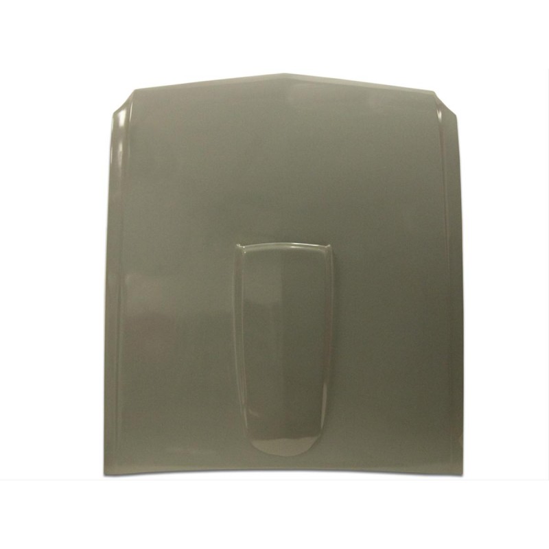 Shelby GT350 Fibeglass Hood with steel frame Shelby GT350 Fibeglass Hood with steel frame
