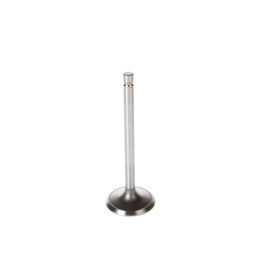 Inlet valve 289 / 302 Non Rail 64-73