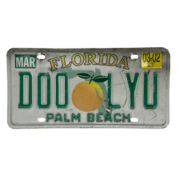 Florida rendszám