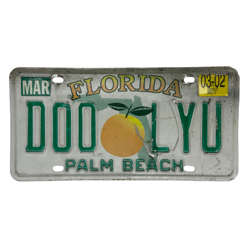 Florida rendszám