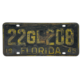 Florida rendszám