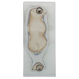 Embléma sárvédő GT500 67