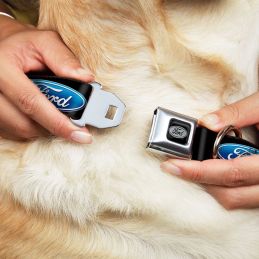 Kutya nyakörv Ford fém csattal | RUSTY-SHOP